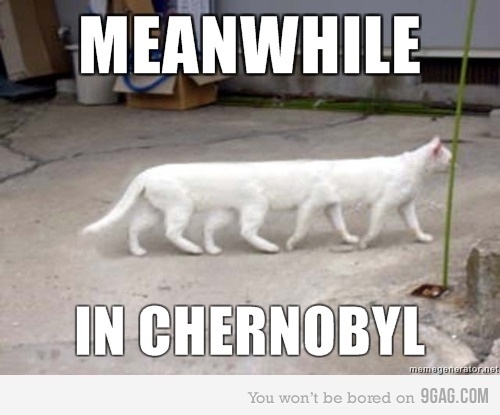9gag-cat-chernobyl-mutant-favim-com-2601